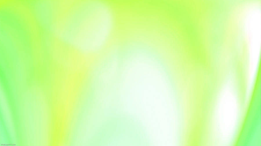 Yellow And Super Light Green Wallpaper