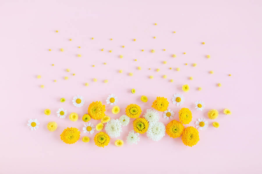 Yellow And White Flowers Cute Tablet Wallpaper