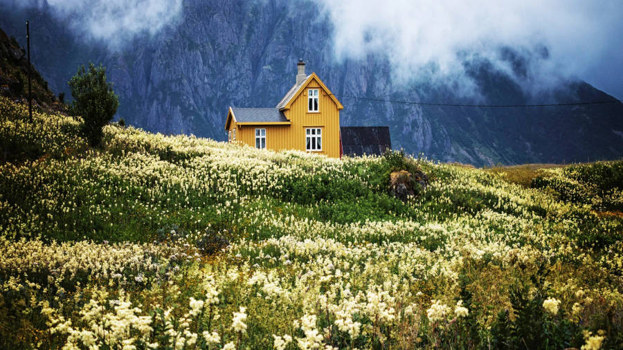 Yellow House Spring Iphone Wallpaper
