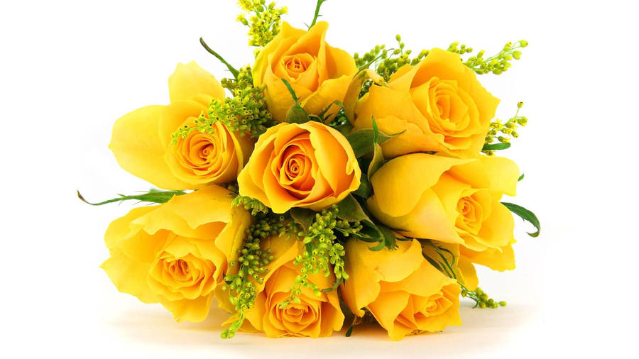 Yellow Rose Bridal Wallpaper