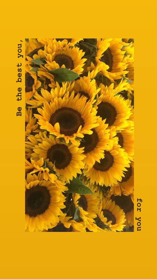 Yellow Sunflowers Quote Spring Iphone Wallpaper