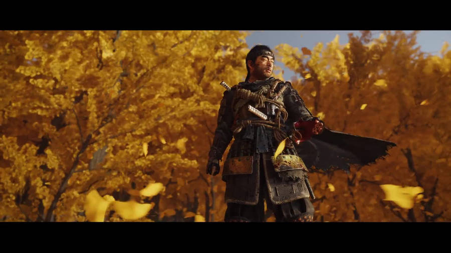 Yellow Trees Ghost Of Tsushima Wallpaper