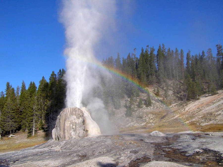 Yellowstone National Park Lone Star Wallpaper