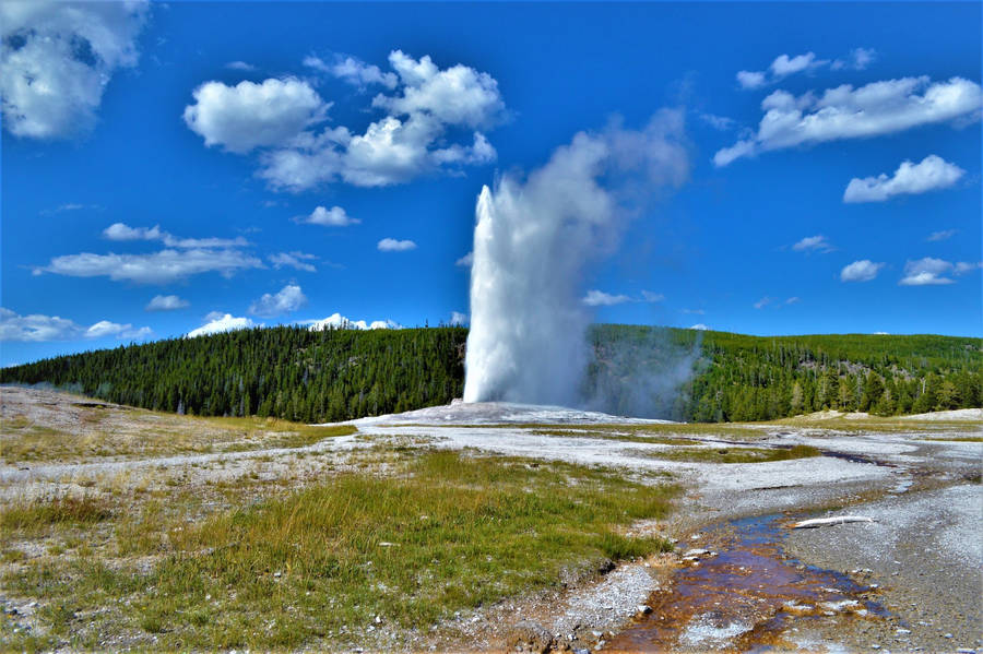 Yellowstone National Park Old Faithful Wallpaper