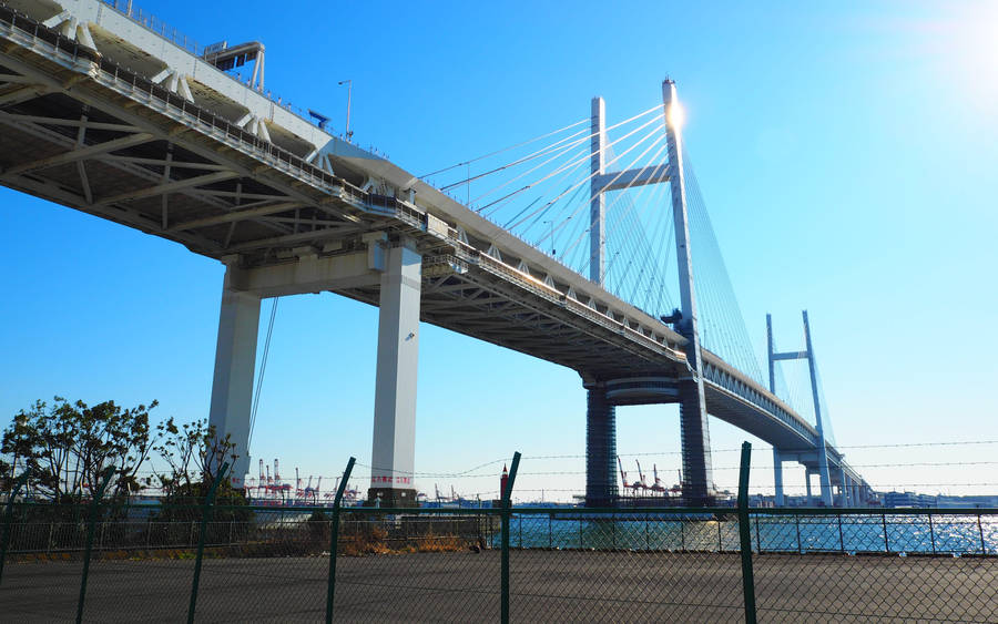 Yokohama Bridge In The Daylight Wallpaper