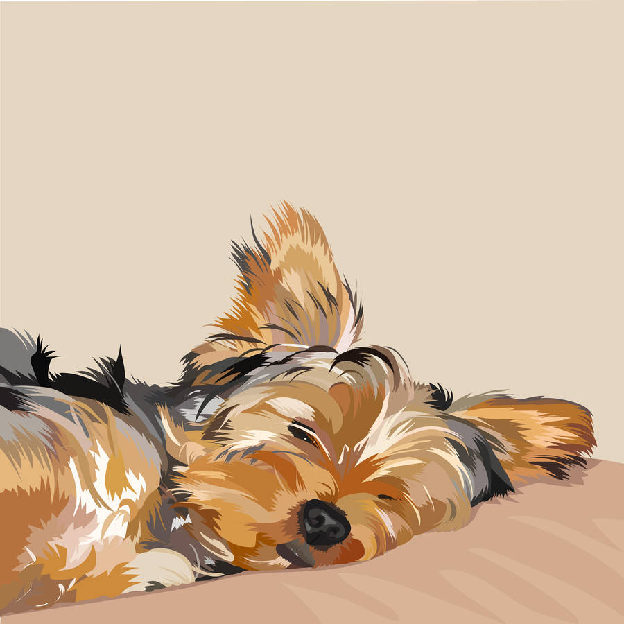 Yorkshire Terrier Sleeping Digital Art Wallpaper