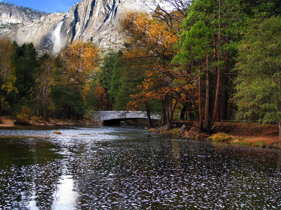 Yosemite National Park Flowing River Wallpaper