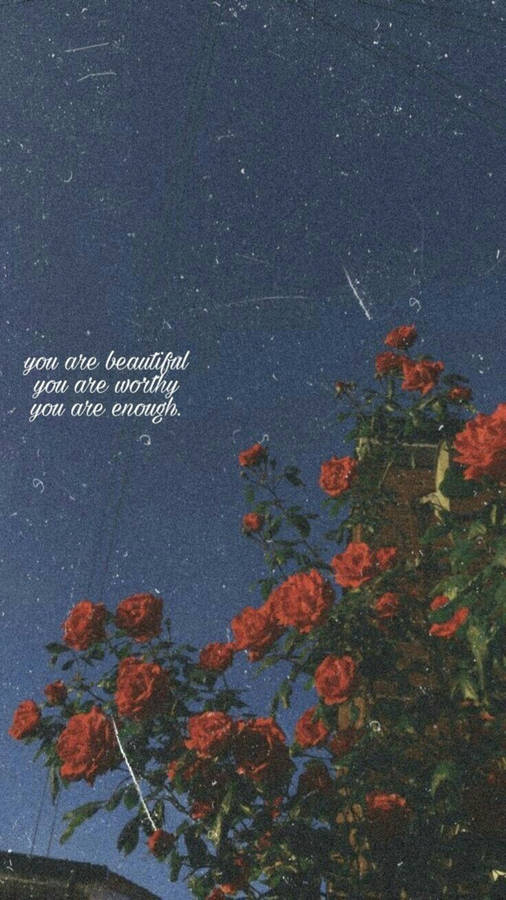 You Are Beautiful Red Roses Wallpaper