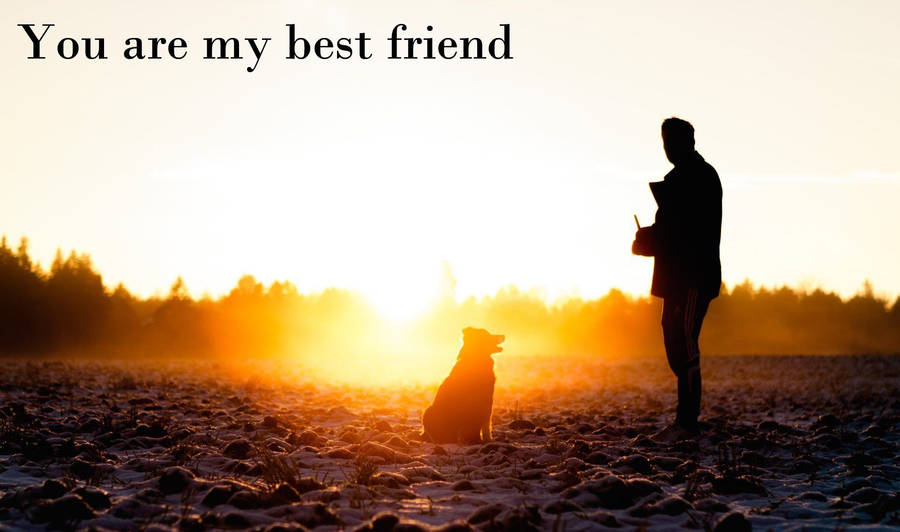 You Are My Cute Best Friend Wallpaper