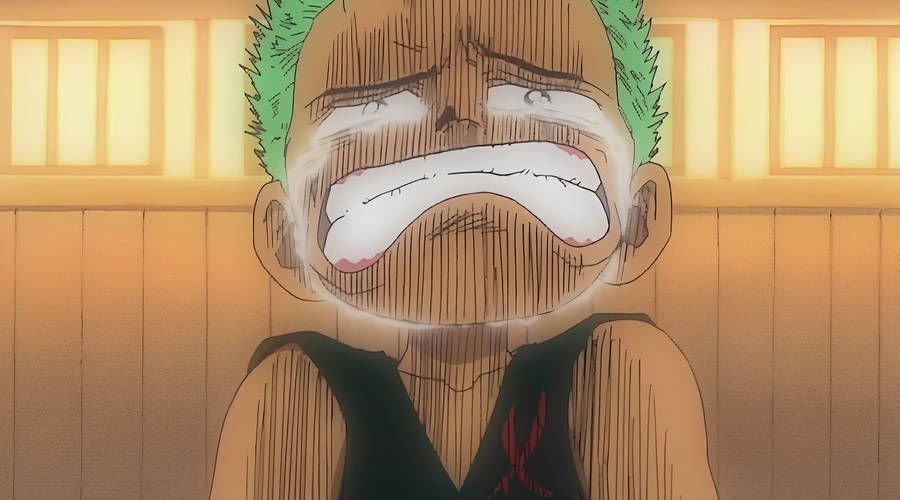 Young Anime Roronoa Zoro Pfp Wallpaper