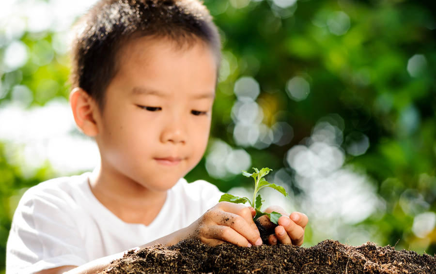 Young Boy Gardening Close-up Wallpaper