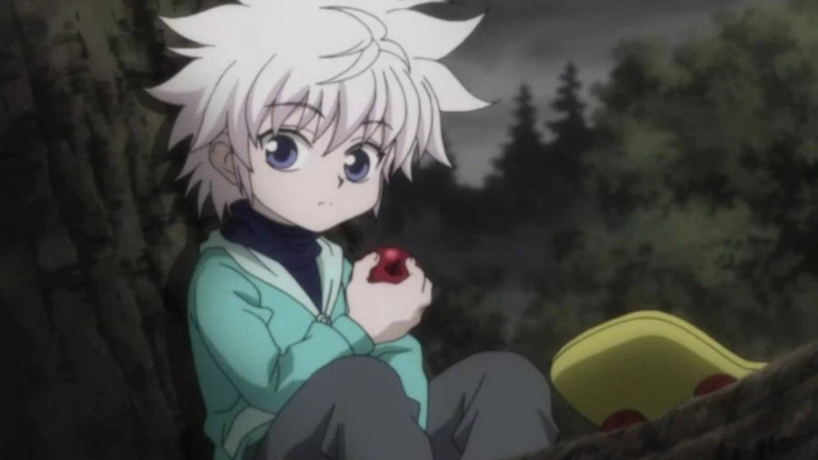 Young Cute Killua Sitting On A Tree Wallpaper