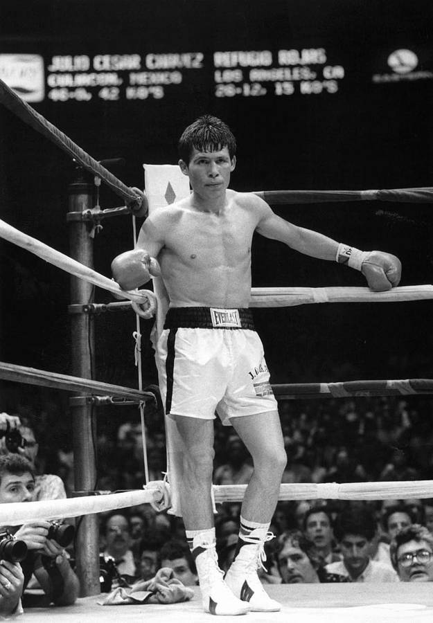 Young Julio Cesar Chavez Wallpaper