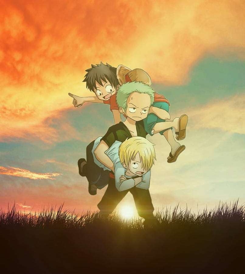 Youngluffy Zoro Sanji Brothers Wallpaper
