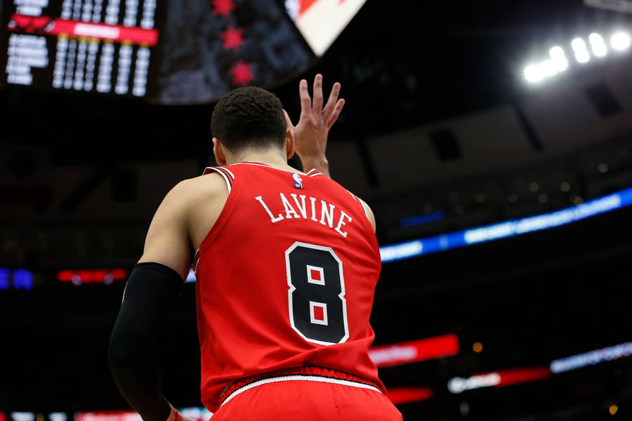 Zach Lavine Number 8 Jersey Wallpaper