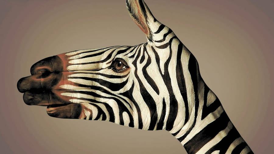 Zebra Hand Painting Wallpaper