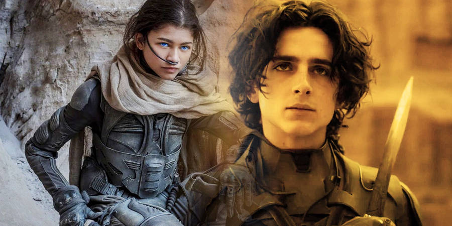 Zendaya And Timothee Chalamet Wallpaper