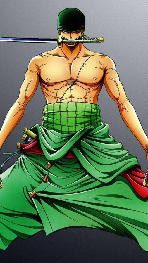 Zoro Hd Full Body Shot Wallpaper