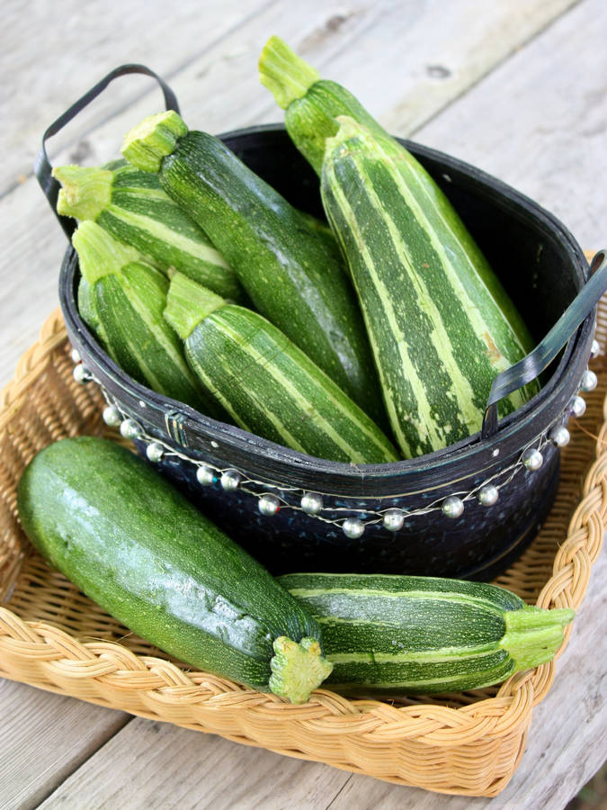 Zucchini Italian Heirloom Variety Wallpaper