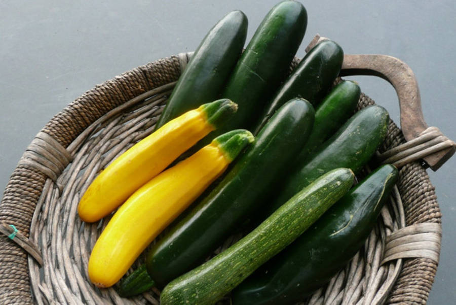 Zucchini Varieties On Woven Platter Wallpaper