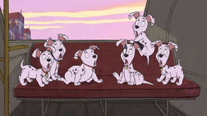 101 Dalmatians On A Bus Wallpaper