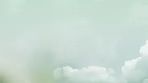 1920 X 1080 Minimalist Pale Green Sky Wallpaper