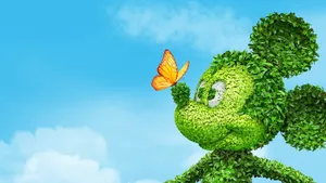 1920x1080 4k Butterfly On Mickey Mouse Bush Wallpaper