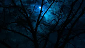 1920x1080 4k Spooky Trees Wallpaper