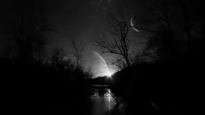 1920x1080 Black Forest River View Wallpaper