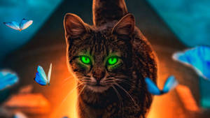 1920x1080 Hd Cat Green Eyes Wallpaper