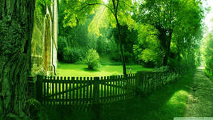 1920x1080 Hd Nature Green Spring Wallpaper