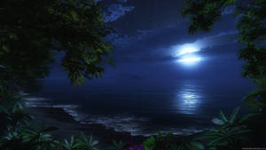 1920x1080 Hd Nature Moonlight Shadow Wallpaper