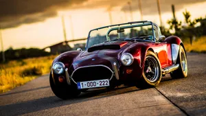 1965 Shelby Nice Car Wallpaper