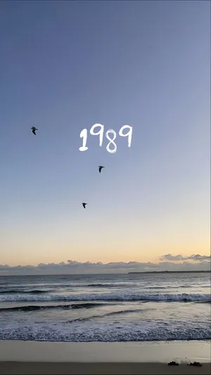 1989 Beach Dawn Birds Wallpaper