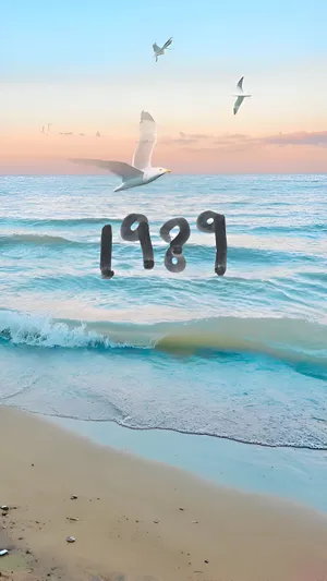 1989 Seagullsand Beach Wallpaper