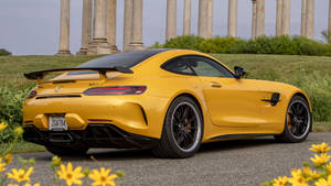 2020 Mercedes Amg Gt R Pro Yellow Wallpaper