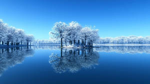 2560x1440 Nature In Winter Wallpaper