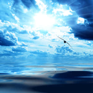 3000x3000 Blue Ocean View Wallpaper