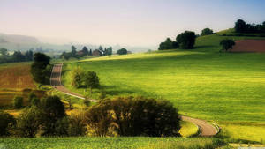 32k Ultra Hd Nature Grassy Hill Road Wallpaper