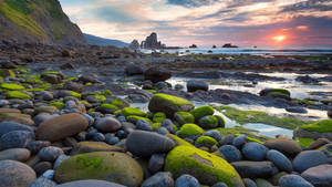 32k Ultra Hd Nature Mossy Rocks On Beach Wallpaper