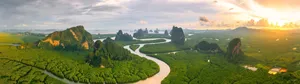 3840x1080 4k Mangrove Forest Wallpaper