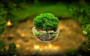 3d Hd Tree Cup Miniature Wallpaper