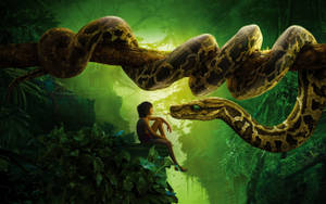 3d Kaa Python Snake Wallpaper
