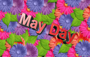 3d May Day Colorful Flowers Artwork Wallpaper