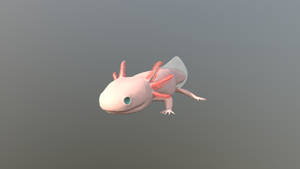 3d Pink Axolotl In Gray Wallpaper