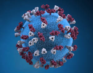 3d Virus Image Wallpaper