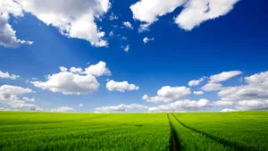 45 Hd Windows Xp Wallpaper For Free Wallpaper