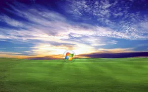 45 Hd Windows Xp Wallpaper For Free Wallpaper