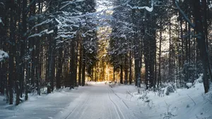 4k 116:9 Winter Snowy Path Wallpaper