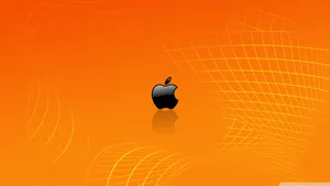 4k Black Minimalist Apple Wallpaper